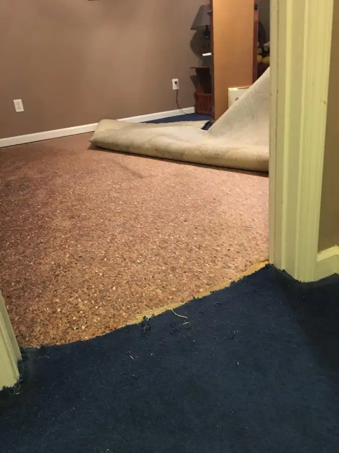 Carpet pad removal revealing water damage during Drying & Dehumidification in Milton