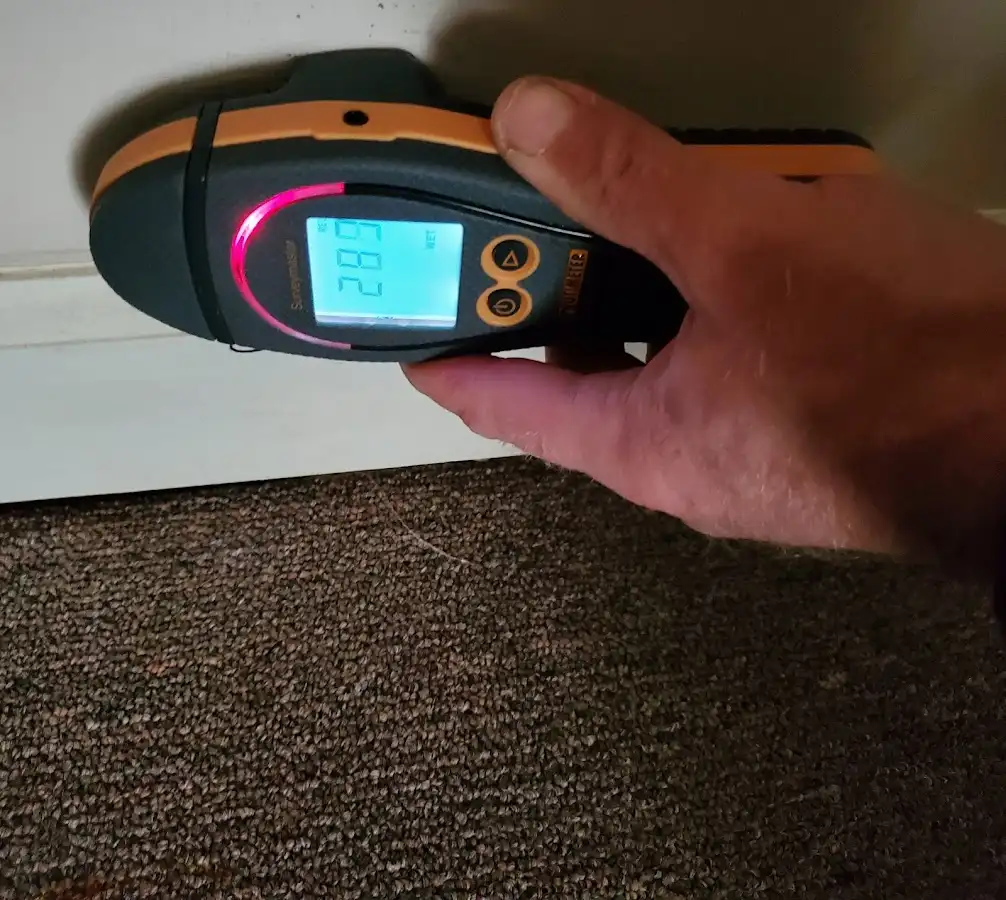 Moisture detection at baseboard during Sewage Cleanup & Sanitation in Milton